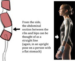 影視知識：頭、肋骨與臀部的關係與表現手法