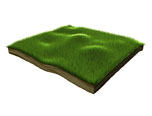 用Cinema 4D繪製三維草坪