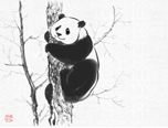 《遠眺》M-Brush大熊貓創作教程