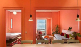 在室內設計中，年度色“活力珊瑚紅”有哪些實用場景？