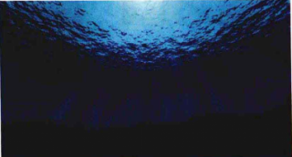 vu深海效果製作教程（四）渲染測試