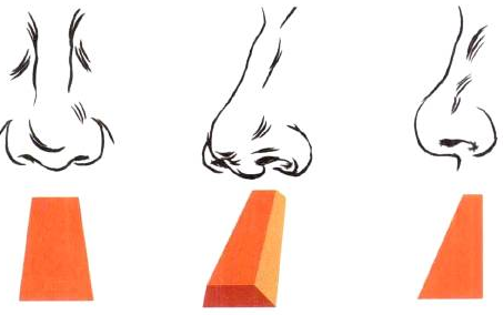 Photoshop的傳統畫法（十三）人物之麵部結構②