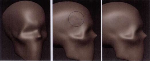 Mudbox雕刻工具使用教程——頭骨雕刻實例（一）