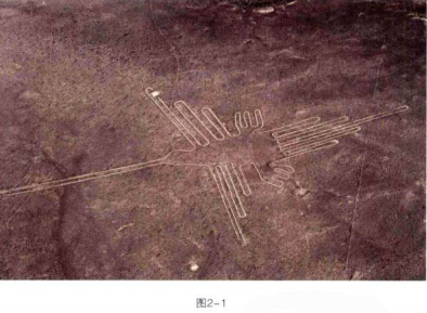 線條的魅力：帶你認識各種線條