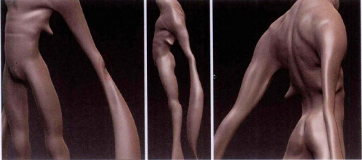 細致雕刻生物角色模型教程：身體雕刻